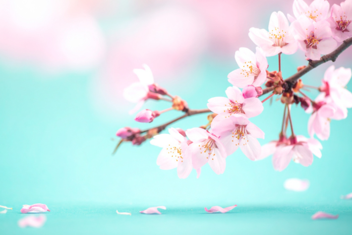 投稿代行用のコピー - 2026-03-25T171208.384