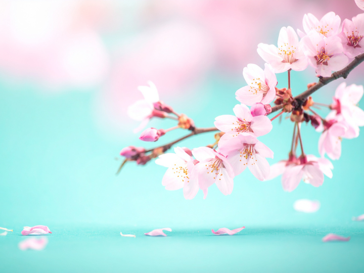 投稿代行用のコピー - 2026-03-25T171208.384